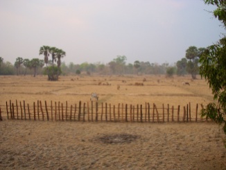Platteland van Cambodja.